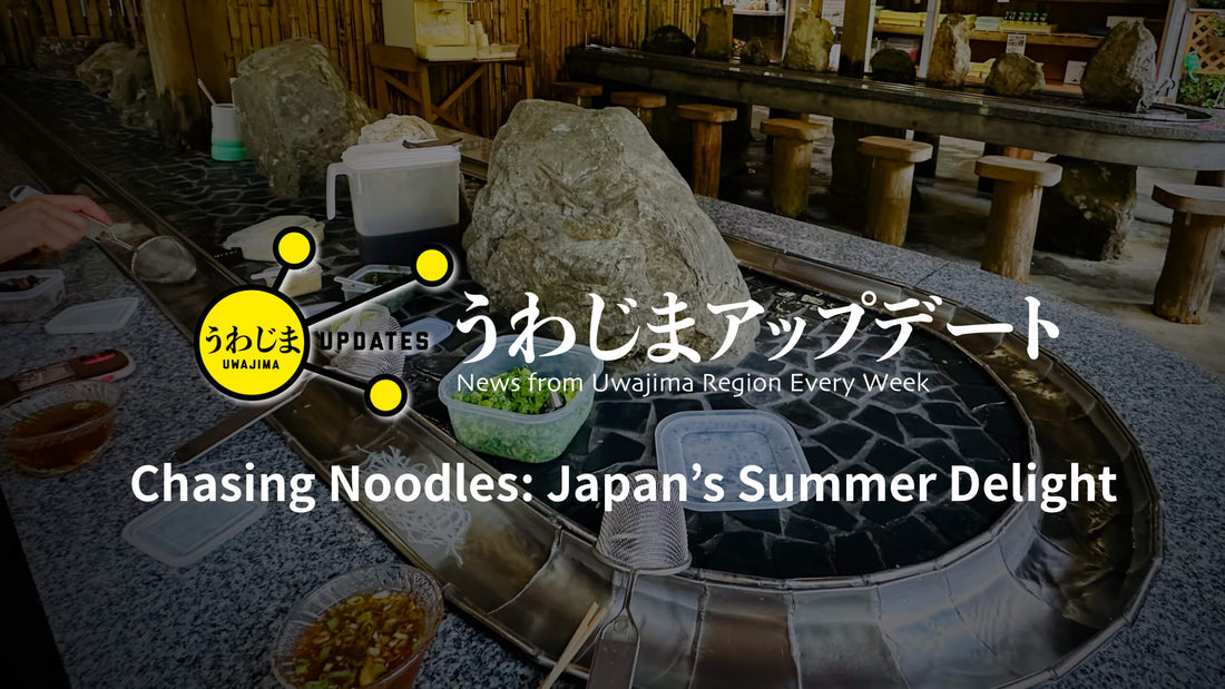 Uwajima Updates: Chasing Noodles: Japan's Summer Delight