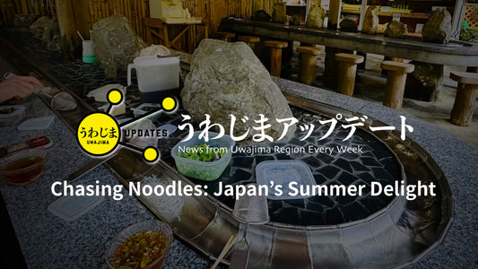 Uwajima Updates: Chasing Noodles: Japan's Summer Delight