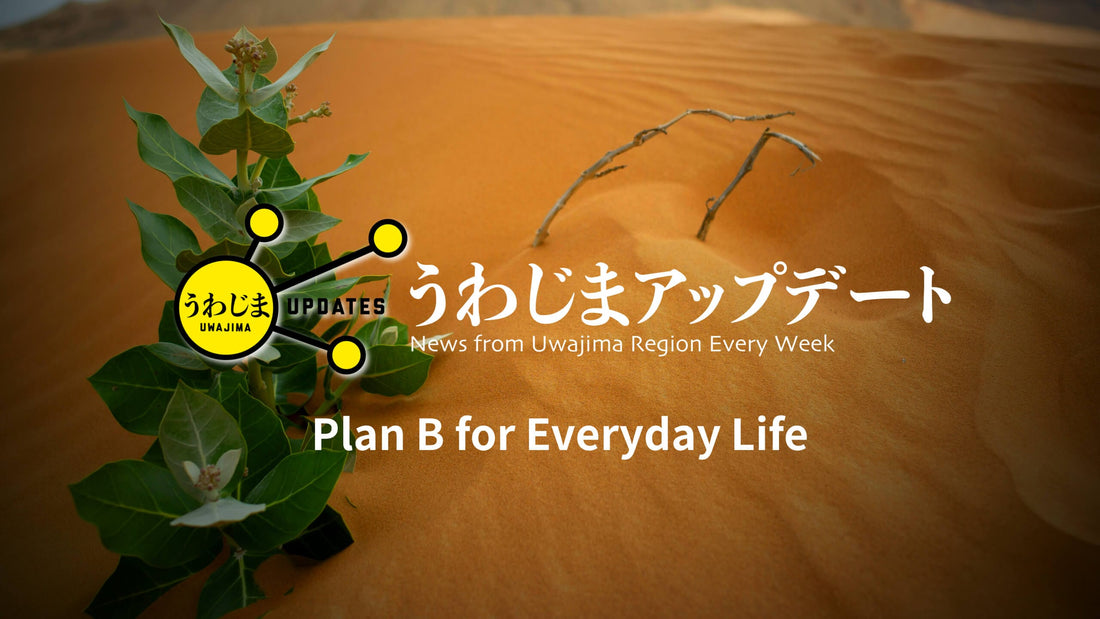 Uwajima Updates: Plan B in Everyday Life