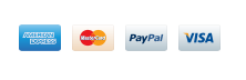We simply Accept Credit Cards (with/without Paypal)