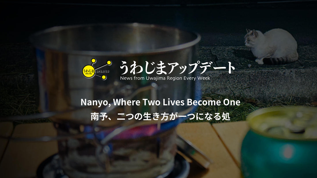 Uwajima Updates: Nanyo: Where Two Lives Become One