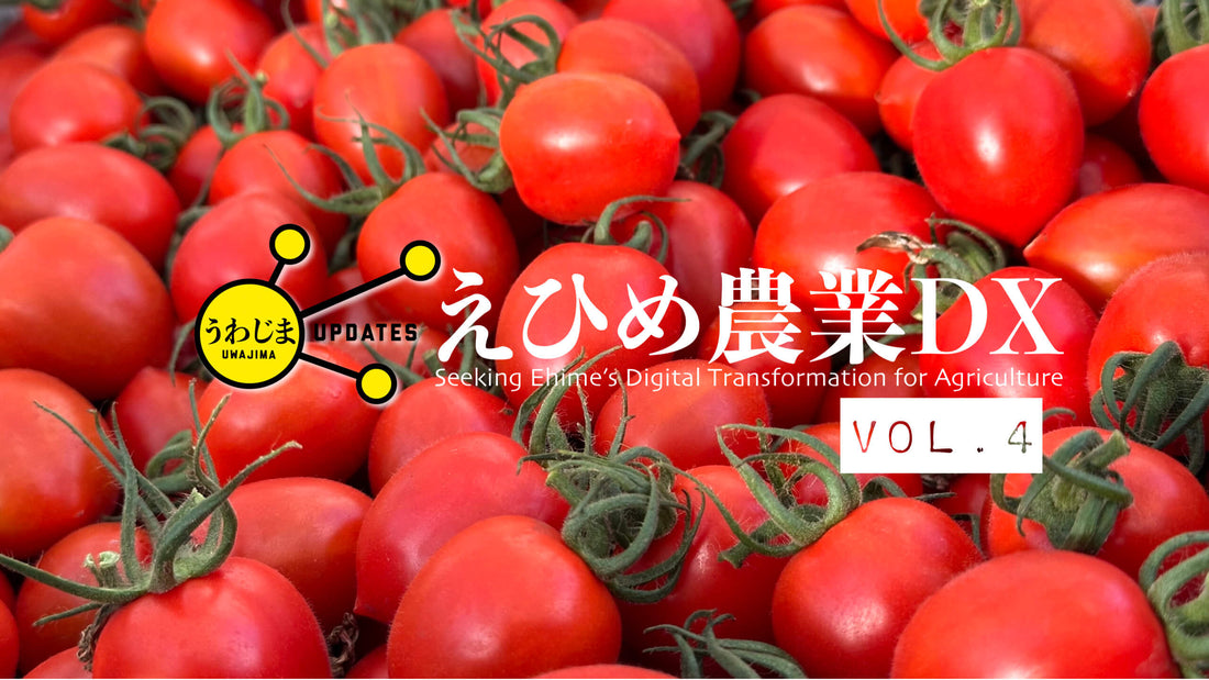 Uwajima Updates 29: Ehime's Digital Transformation Agriculture vol.4