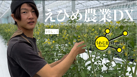 Uwajima Updates 18: Ehime's Digital Transformation Agriculture vol.1