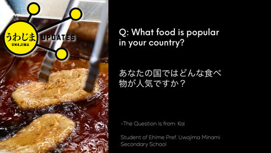 Uwajima Questions: What food is popular in your country? 